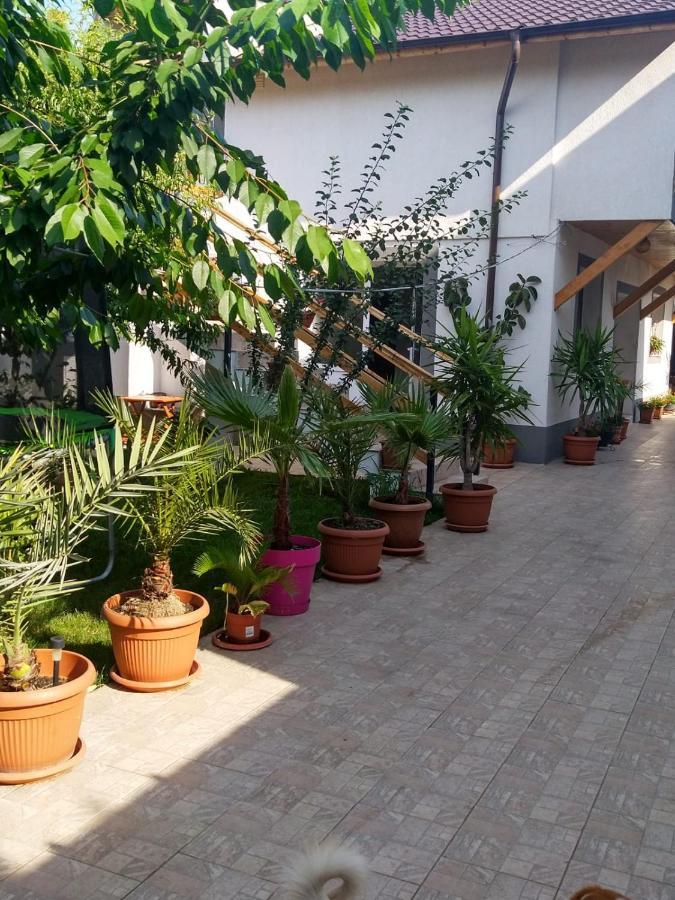 Vila Alexandra Apartment Eforie Nord Ngoại thất bức ảnh